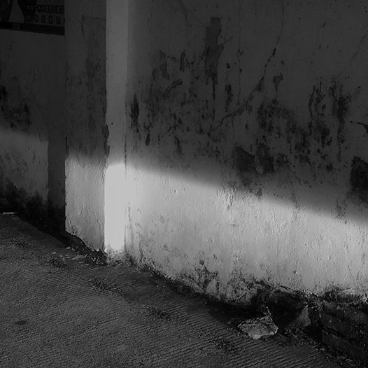 Ng Hon Lam Photography