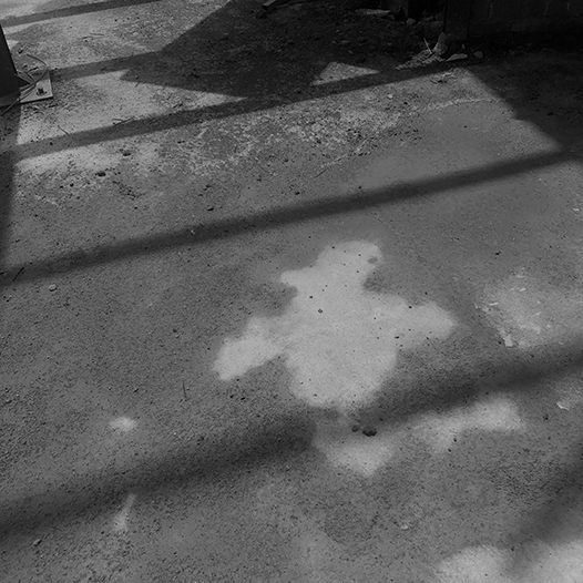 Ng Hon Lam Photography