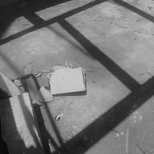 Ng Hon Lam Photography