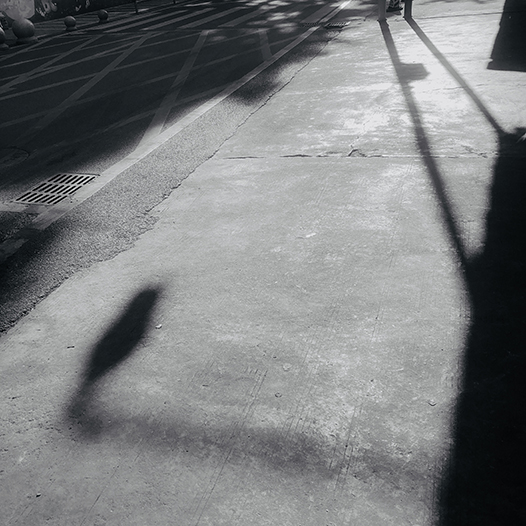 Ng Hon Lam Photography