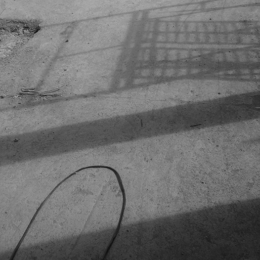 Ng Hon Lam Photography