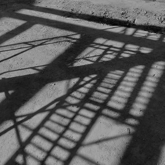 Ng Hon Lam Photography