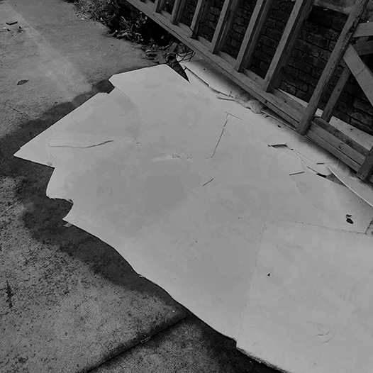 Ng Hon Lam Photography