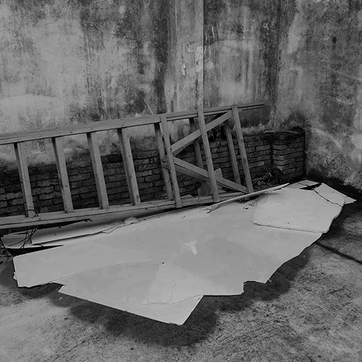 Ng Hon Lam Photography