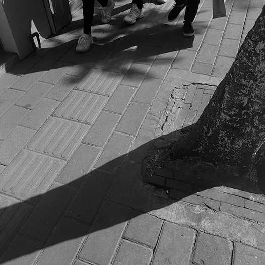 Ng Hon Lam Photography