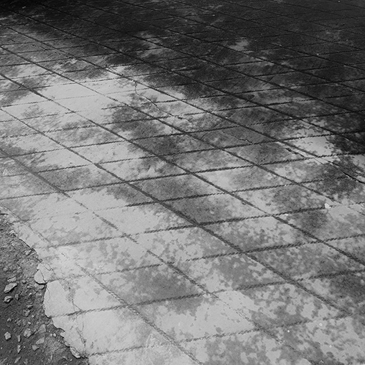 Ng Hon Lam Photography