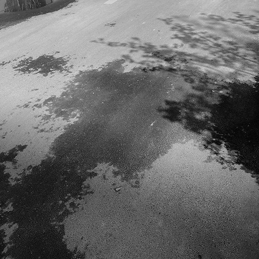 Ng Hon Lam Photography