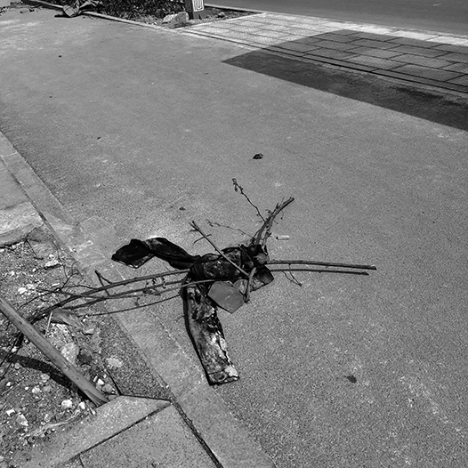 Ng Hon Lam Photography