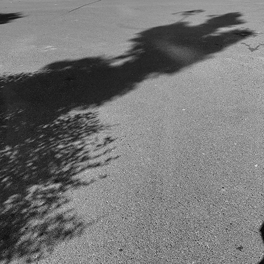 Ng Hon Lam Photography