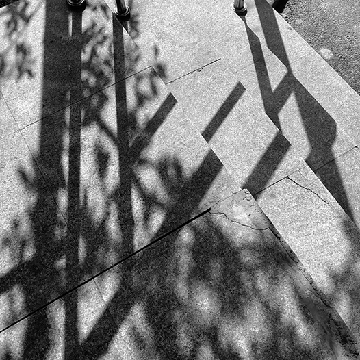 Ng Hon Lam Photography