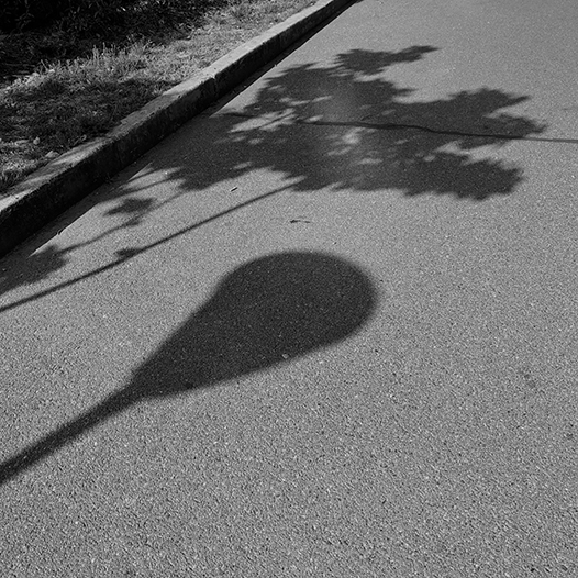 Ng Hon Lam Photography