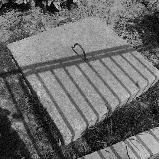 Ng Hon Lam Photography