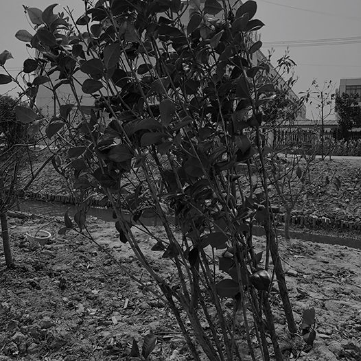 Ng Hon Lam Photography