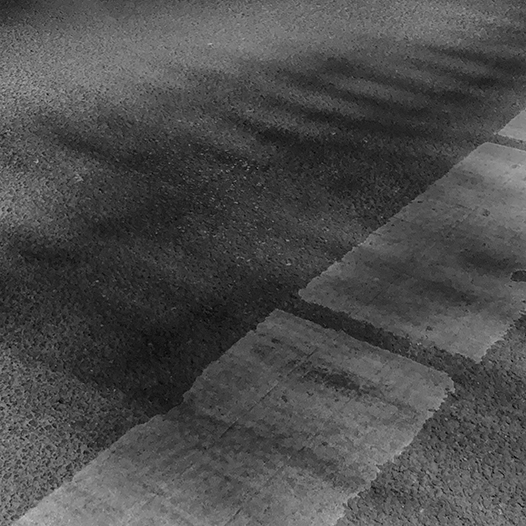 Ng Hon Lam Photography