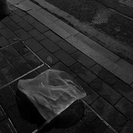 Ng Hon Lam Photography