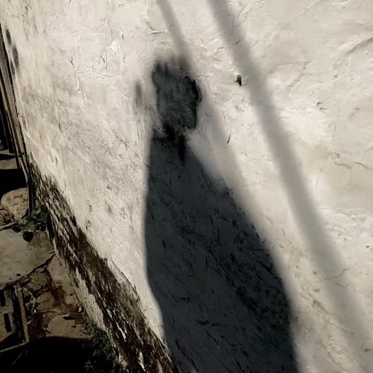 吳漢霖攝影_訊息錄_Ng Hon Lam_WeChat