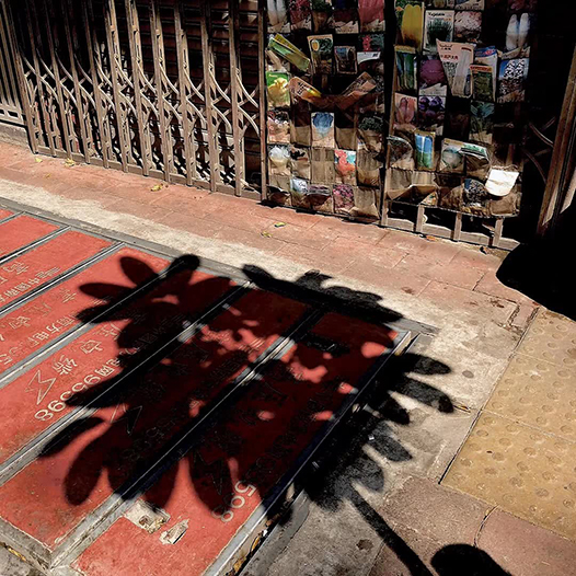 吳漢霖攝影_訊息錄_Ng Hon Lam_WeChat