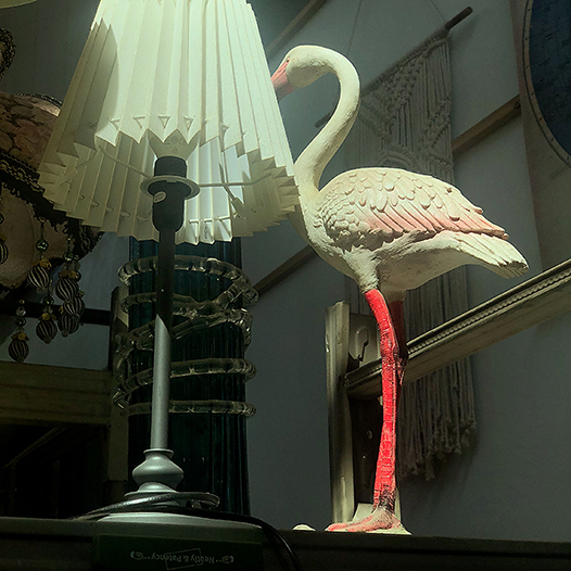 吳漢霖攝影_訊息錄_Ng Hon Lam_WeChat