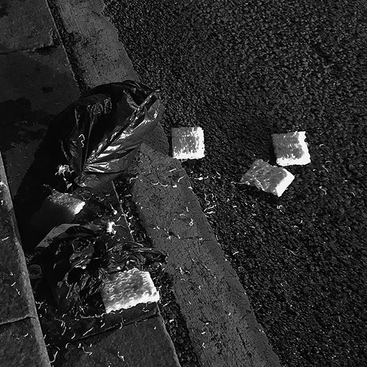 吳漢霖攝影_訊息錄_Ng Hon Lam_WeChat