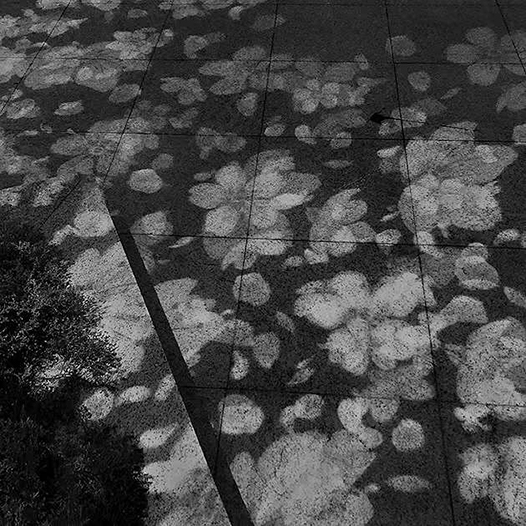 吳漢霖攝影_訊息錄_Ng Hon Lam_WeChat